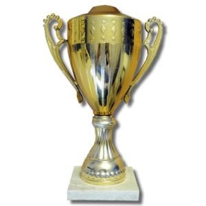Copa 17 (24cm)