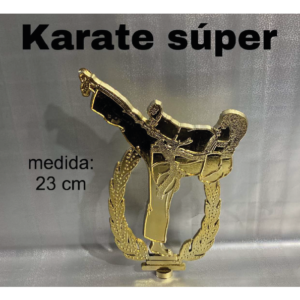 Karate Súper<small><small>(23 cm)</small></small>