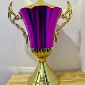 <small><strong>NUEVO INGRESO EXCLUSIVO: </strong></small><br>¡Copa Baires en rosa! <small><small><i>(Altura: 60 cm)</i></small></small>