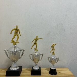 Nuevas Copas 4 Plateadas<br><small><small><i>(Grande: 35 cm | Mediana: 27 cm | Chica: 24 cm)</i></small></small>