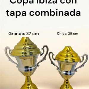 <small><strong>NUEVO</strong></small><br>Copa Ibiza con Tapa Combinada<small><small><i>(Grande: 37cm | Chica: 29cm)</i></small></small>
