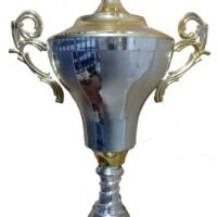 Nombre: Copa ORENSE
Altura: 40cm
La conforman:
El pie, la cupla, el cuerpo, las asas y la tapa