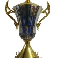 Nombre: COPA BAIRES PLASTICA (Con Cajon)
Altura Sola: 56cm
Altura con alegoria: 78cm
Altura con cajon y alegoria:88cm
Diametro Cuerpo:30cm
Diametro Pie:23cm
De Asa a Asa:44cm
