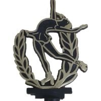 Nombre: Patin Artistico Estampado
Altura: 15cm