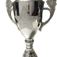 Nombre: Copa Nº20 (Parte Trasera)
Altura: 24cm
Color: Tambien en Oro
*Con opcion de postizo personalizable*